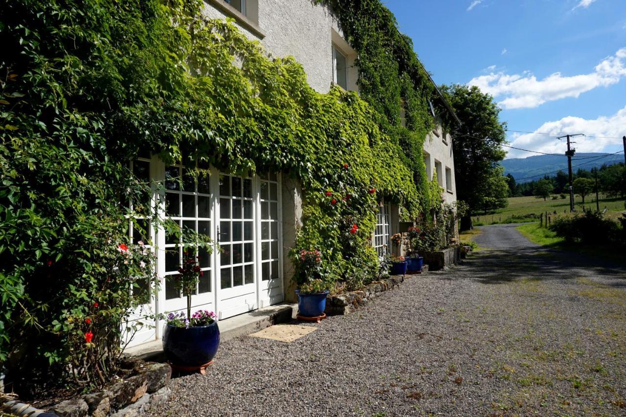 Les Neuf Bouleaux Bed and Breakfast Job Eksteriør billede
