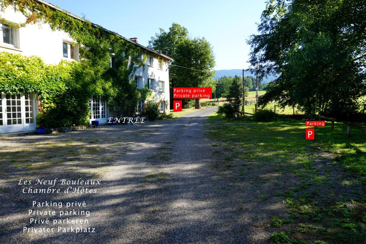Les Neuf Bouleaux Bed and Breakfast Job Eksteriør billede