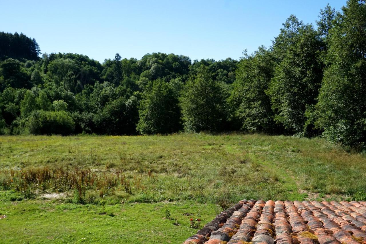 Les Neuf Bouleaux Bed and Breakfast Job Eksteriør billede
